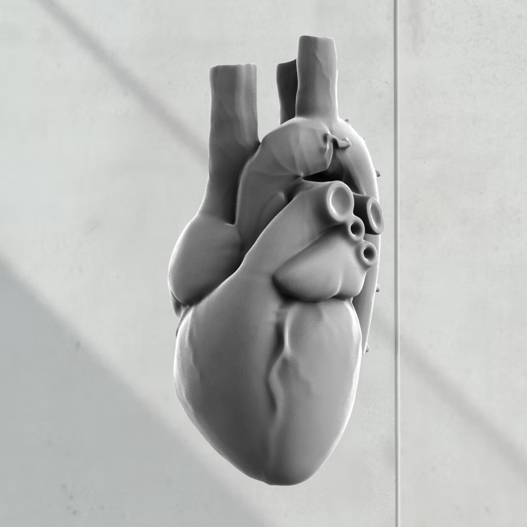 Corazón 3D Detallado